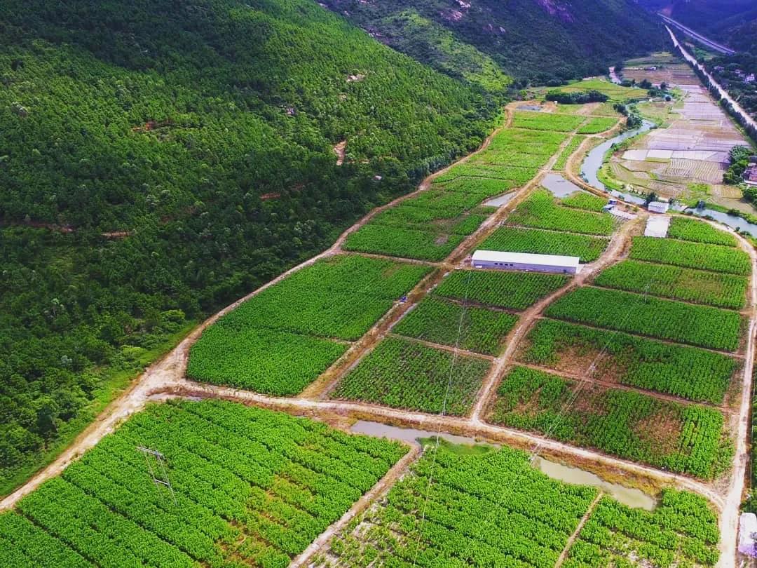 【2019年度yl23455永利官网荣誉体系先进集体系列报道四：羊城集团】坚定信心 奋勇争先 谱写新时代羊城集团全面转型发展新篇章