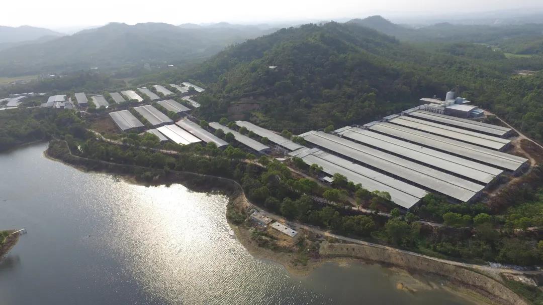 【“新yl23455永利官网 新风采”专题报道】省食品：在履职尽责中展现国企新风采 全力保障大湾区“菜篮子”工程