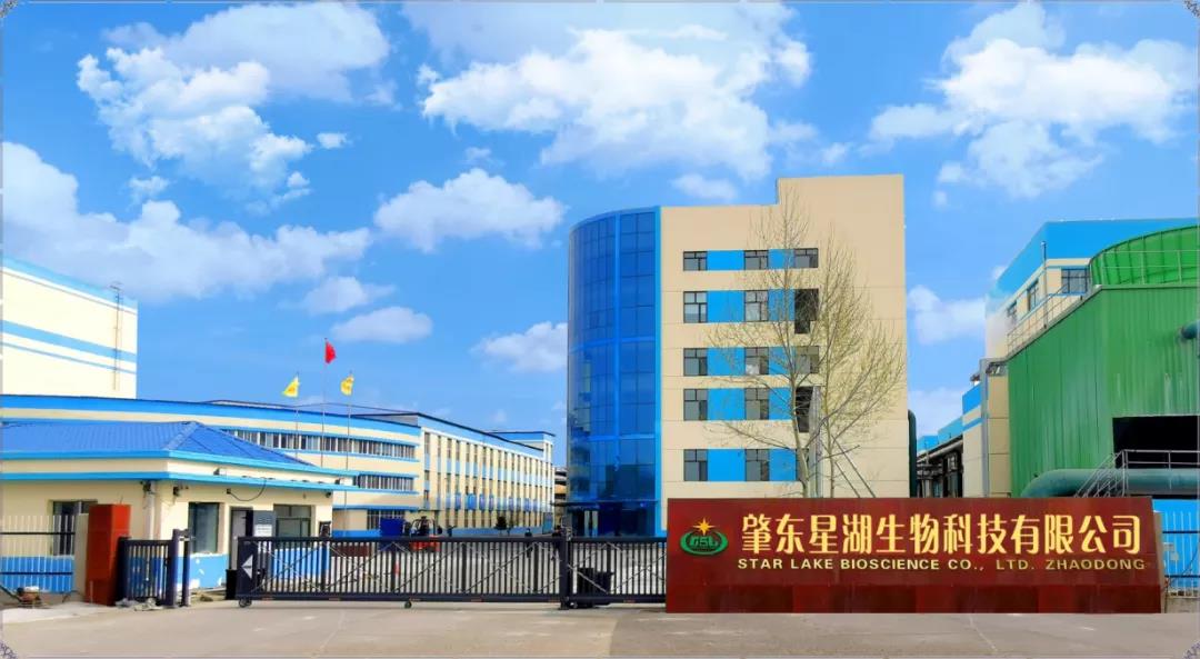【“新yl23455永利官网 新风采”专题报道】 星湖科技：打造粤龙合作项目 赋能产业高质量发展
