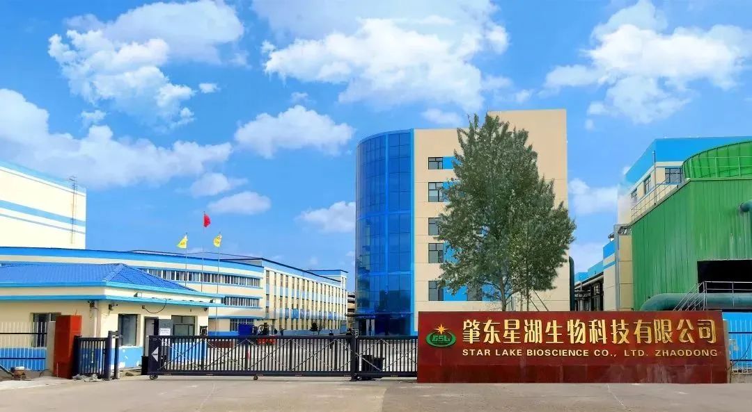 yl23455永利官网集团深入贯彻全省高质量发展大会精神（四）