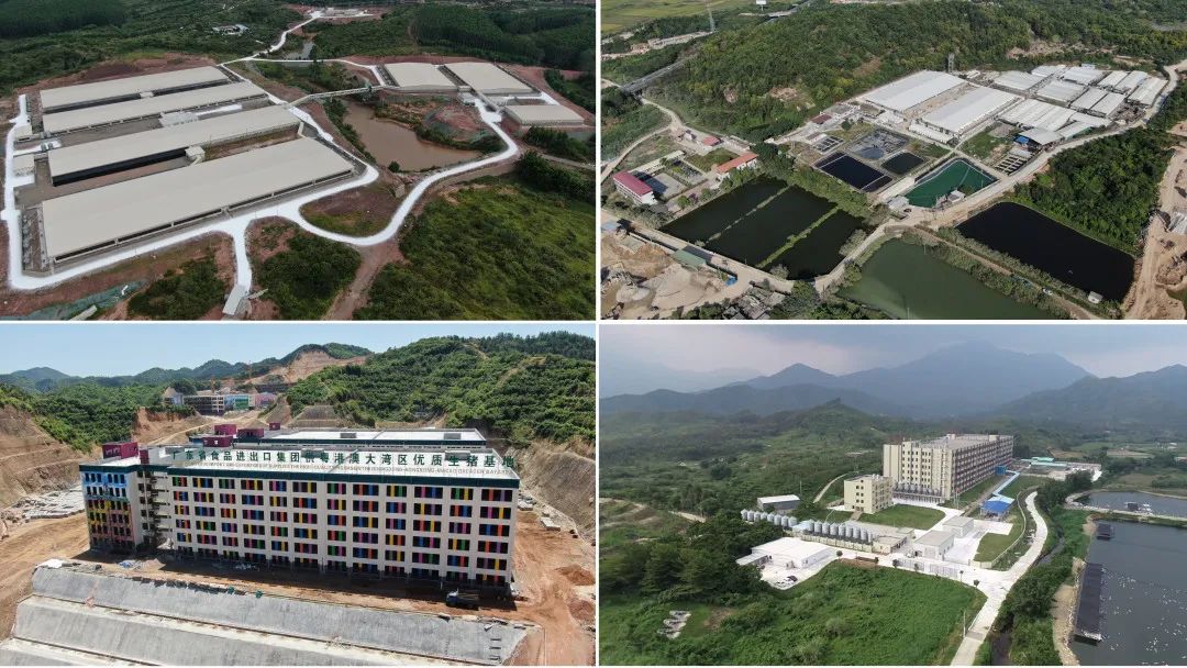 yl23455永利官网集团深入贯彻全省高质量发展大会精神（六）