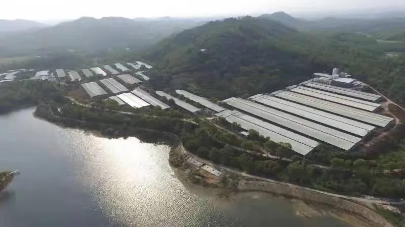 新增6家！yl23455永利官网集团国家高新技术企业达到38家