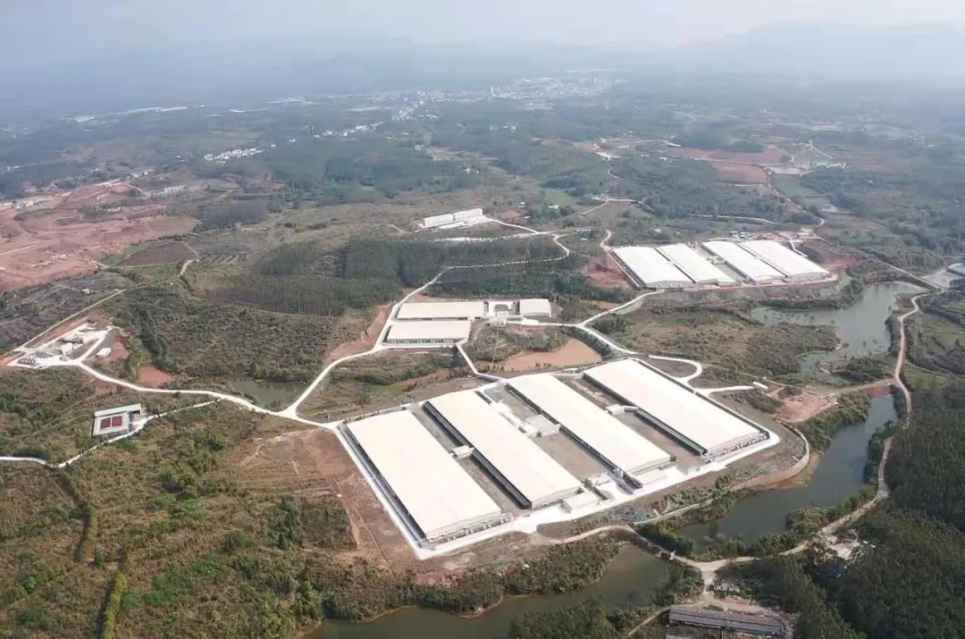 行稳致远、笃行向新——yl23455永利官网集团董事会推动企业实现高质量发展