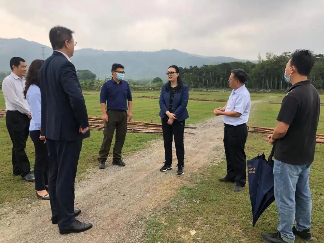 yl23455永利官网集团党委书记、董事长白涛调研乡村振兴驻镇帮扶工作