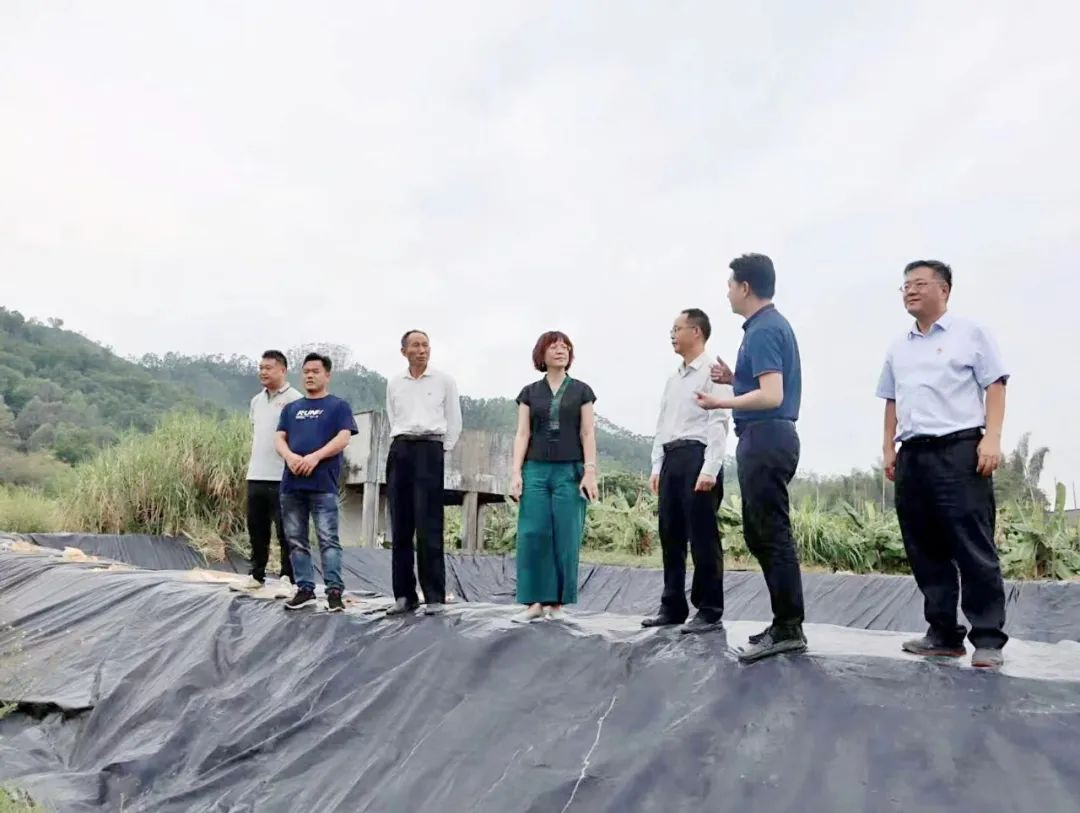 yl23455永利官网集团党委副书记、工会主席黄家合带队调研乡村振兴驻镇帮扶工作 yl23455永利官网集团党委副书记、工会主席黄家合带队调研乡村振兴驻镇帮扶工作