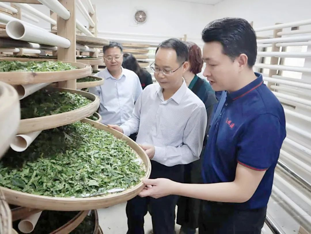 yl23455永利官网集团党委副书记、工会主席黄家合带队调研乡村振兴驻镇帮扶工作 yl23455永利官网集团党委副书记、工会主席黄家合带队调研乡村振兴驻镇帮扶工作