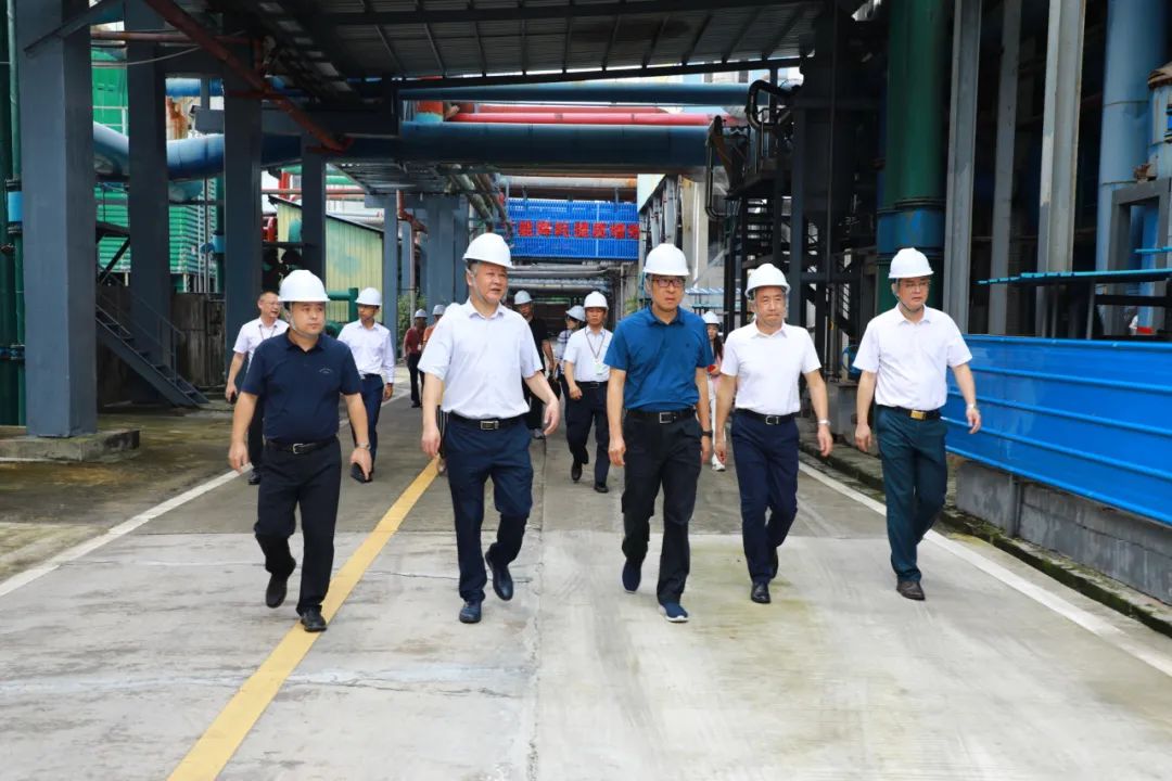 省国资委党委委员、副主任刘小龙一行到yl23455永利官网集团开展专项工作督导