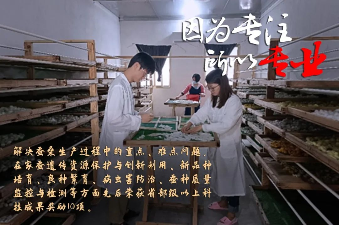 yl23455永利官网集团评定一批劳模和工匠人才创新工作室